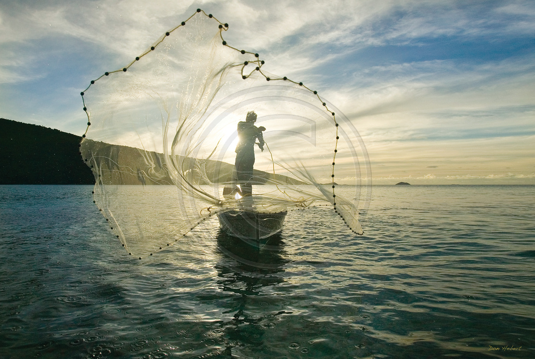 beginner fly fishing net Clear Rubber Affordable Trout Net